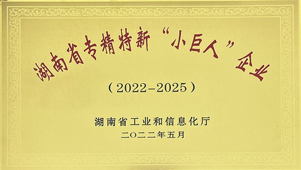2022年湖南省专精特新“小巨人”企业名单