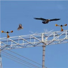 电力电网-鸟情